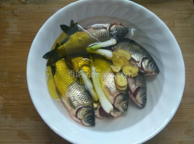取一只大碗，放入鲫鱼，加适量水，加姜片、茶油、料酒、葱白。
