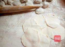 猪肉白菜饺子(妈妈的味道)的做法图解6