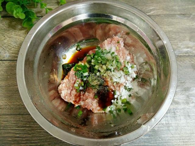 取一只干净碗，放入肉泥，葱花，料酒，生粉，生抽，蚝油，胡椒粉，盐，搅拌均匀（可随自己口味添加食材和调料）