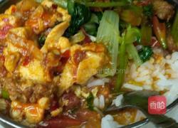 豆瓣辣豆腐的做法图解2