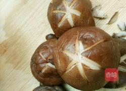 红烧小鸡腿的做法图解3