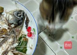 鲫鱼蒸蛋的做法图解5