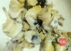辣炒海螺肉的做法图解3