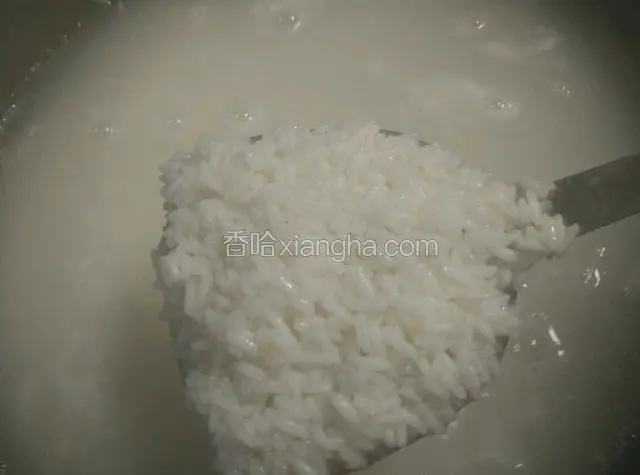 煮至大米半熟（用手捏一下只剩米心没熟即可，千万不要煮到全熟，那样饭就不好吃了）