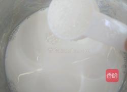 木瓜牛奶的做法图解5