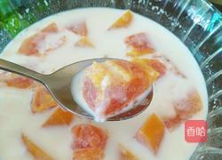 木瓜牛奶的做法图解7
