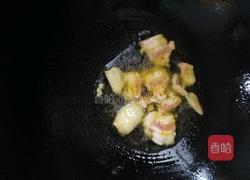 干锅茶树菇的做法图解4