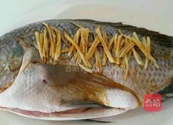 清蒸鲫鱼的做法图解9