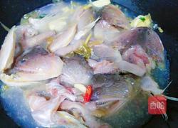 潮汕煮那哥鱼头（多齿蛇鲻）的做法图解5