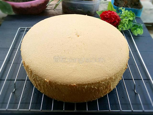 戚风蛋糕（十寸）