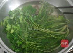 凉拌香菜的做法图解2