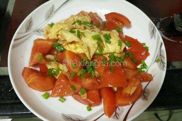 西红柿炒蛋