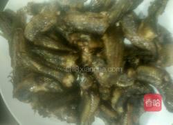 铁锅泥鳅的做法图解4