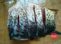 野生鲤鱼炖茶油的做法图解1