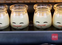 牛奶布丁的做法图解9