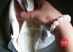 糖醋鳊鱼的做法图解1