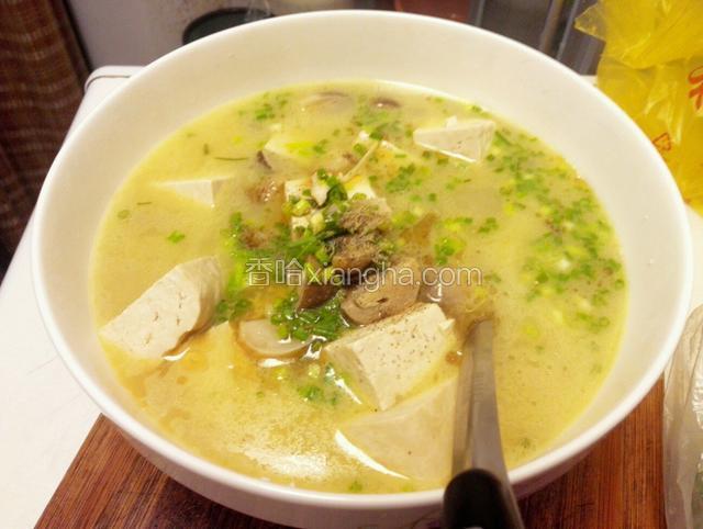 海鲫鱼豆腐菌菇汤
