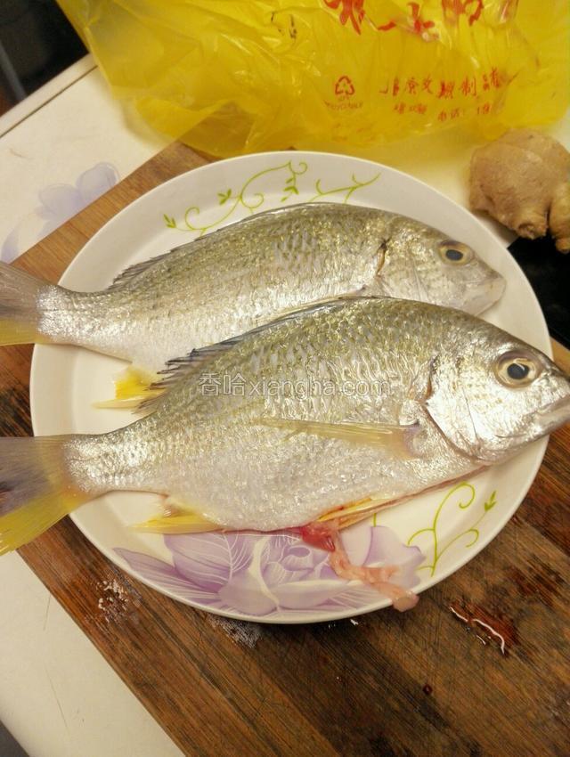 海鲫鱼开膛去鱼鳃洗干净