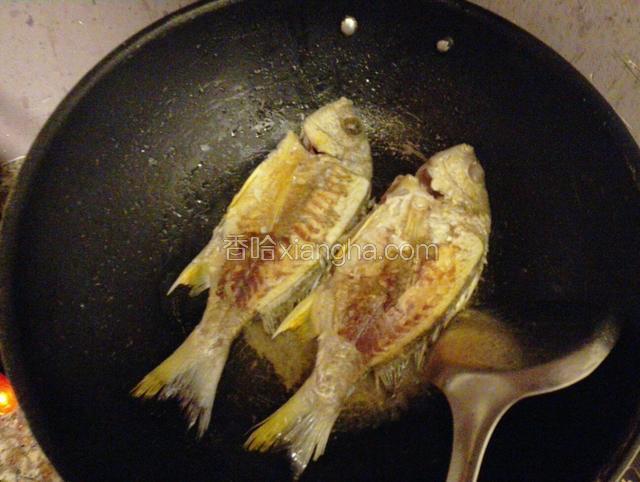 起油锅，油温7成热后放入海鲫鱼煎
煎至双面金黄后倒入开水煮汤