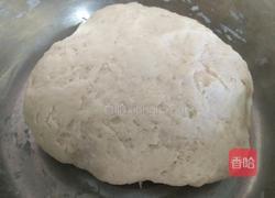 马哈鱼猪肉水饺的做法图解13