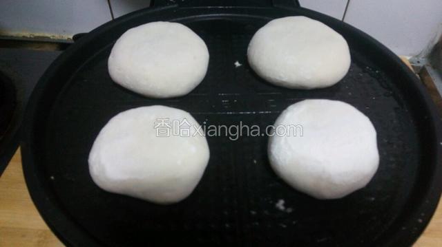 电饼铛加热，将包好的包子放入电饼铛