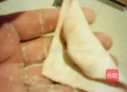 Illustration of how to make colorful beef wontons 11