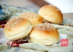 汉堡胚（波兰种poolish）的做法图解15