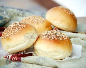 漢堡胚（波蘭種poolish）