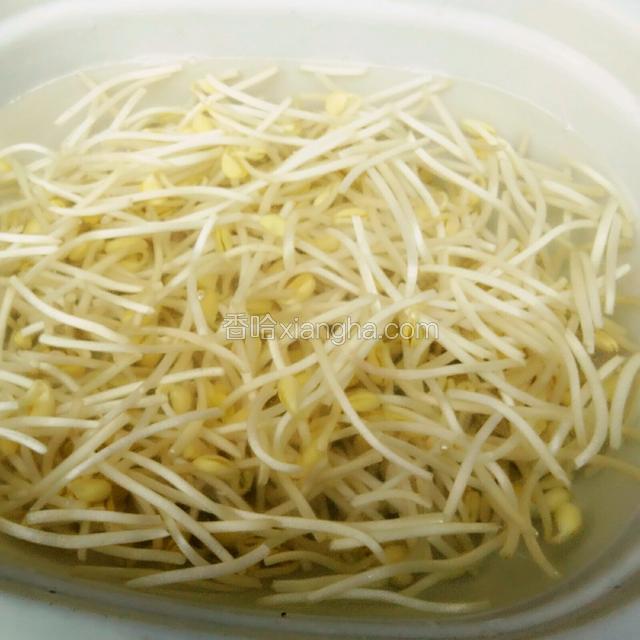 洗好黄豆芽，捞出控水