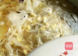 鲫鱼豆芽汤的做法图解13