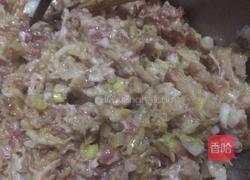 皮薄陷大酸菜肉包的做法图解3