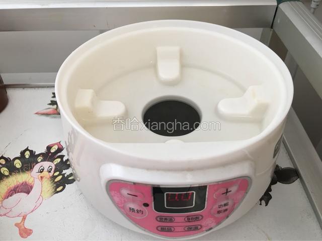 电炖器加适量水。