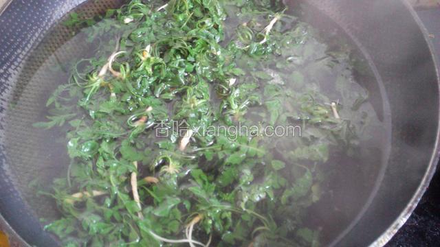 把荠菜放开水锅里焯一分钟
