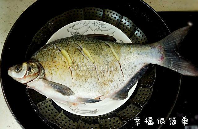 麻好的鱼在刀口上各插上一片生姜，鱼肚子里放入葱结 上蒸锅蒸8分钟，关火再焖5分钟。