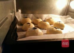 牛奶餐包的做法图解5