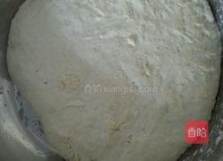 香菇白菜虾皮包的做法图解1