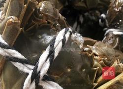 【清蒸大闸蟹】的做法图解2