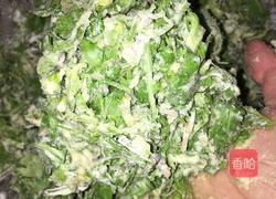 蒸荠菜的做法图解5