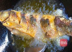 红烧鲩鱼的做法图解1