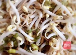 肉丝手掐菜的做法图解1