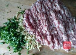 猪肉包心菜饺子的做法图解4
