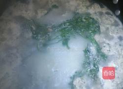 荠菜丸子的做法图解5