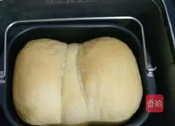 Butter Toast (Bread Machine Version) Recipe Illustration 8