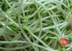 凉拌豆芽的做法图解1