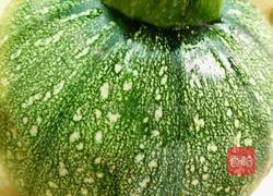 小南瓜炒肉的做法图解1