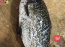 嵌宝鲫鱼的做法图解1