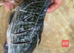 嵌宝鲫鱼的做法图解2