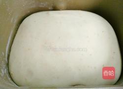 全麦土司面包的做法图解5