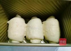 全麦土司面包的做法图解9