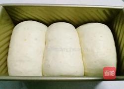 全麦土司面包的做法图解10